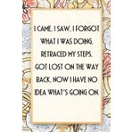 I Came I Saw I Forgot What I Was Doing Retraced My Steps Lost on the Way Back Now I Have No Idea What's Going On: Funny Saying Notebook for Women, ... Boss, Secret Santa, Parents (110 lined pages)