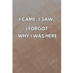 I Came, I Saw, I Forgot Why I Was Here: Funny Journal Gifts for Seniors, men, women