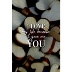 I Love my Life Because it Gave me You: 6 X 9 inch, 120 Lined Pages, Love Journal / Notebook / Diary to write down your daily habits, memories of a ... loved one. (Amazing gift for Valentine’s Day)