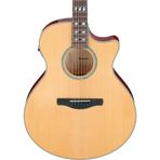 Ibanez AE170-NTR Elektro Gitar