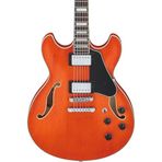 Ibanez AS73-TTF Elektro Gitar
