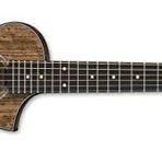 Ibanez EWP14WB-OPN EWP Serisi Akustik Gitar