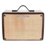İbanez T30II-U Akustik Gitar Amfisi