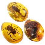 ibasenice 3 Parça kehribar örneği Böcek kolye Doğal amber böcek kehribar dekorasyonu DIY işçiliği için böcek kehribar dekoru böcek kehribar kolye dekoru DIY böcek kehribar reçine