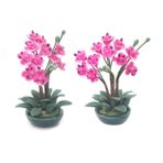ibasenice Benzersiz 1/12 Mini Ev Dekoru Kil Phalaenopsis Orkide Bebek Evi Aksesuarı Sanatsal Çiçek Modeli