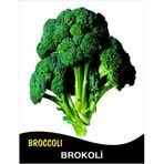 İBK İklim Bahçe Brokoli Tohumu Monet - 0,35 g (~ Takribi 70 Tohum)