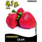 İBK İklim Bahçe Çilek Tohumu Vista ~ 0,035 g. (~ Takribi 200 Tohum)
