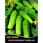 İBK İklim Bahçe Hıyar Tohumu Salatalık Kornişon Turşuluk - 3 g (~ Takribi 60 Tohum)