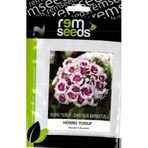 İBK İklim Bahçe Hüsnü Yusuf Çiçek Tohumu - DIANTHUS BARBATUS - 2 (~ Takribi 50 Tohum)