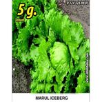 İBK İklim Bahçe Marul Tohumu Iceberg - 5g. (~ Takribi 2750 Tohum)