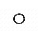 IBRAS 19700 Emme Manifold Conta Takımı Berlingo II Berlingo III C4 II Ds4 C3 III C2 C3 C4 C5 P206 Motor ve Şanzıman 38327012