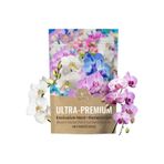 İç mekan bitki gıda, kapalı bitki gübresi | leme Tozu,Bloom Booster, Stimülatör, Çiçekler için Bahçe Bakımı Sebze Succulents