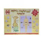 İç Salgı Bezleri ve Emilim 140 126 Puzzle