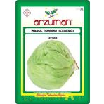 Iceberg Marul Tohumu (5 Gr) Göbekli Marul