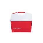 Icepeak Playmate Buzluk 20 Litre