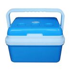 Icepeak SF12 12 L Termos Buzluk
