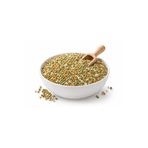 ICL Osmocote Akıllı Gübre Yavaş Salınımlı 9 Ay (100 g)