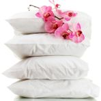 ICON SILK Saf Ipek Dolgulu Yastık - 50 × 70 cm - Beyaz