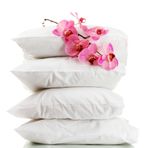 ICON SILK%100 Saf İpek Dolgulu Yastık (50 cm * 70 cm) 1 Adet