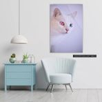 İdeal Glass Art Beyaz Kedi Cam Tablo