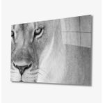 İdeal Glass Art İdealizbiz Aslan 4 mm Dayanıklı Temperli Cam Tablo