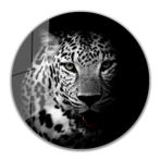İdeal Glass Art İdealizbiz Kaplan Yuvarlak 4 mm Dayanıklı Temperli Cam Tablo