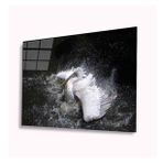 İdeal Glass Art Pelikan 4 mm Dayanıklı Temperli Cam Tablo