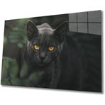 İdeal Glass Art Siyah Kedi Cam Tablo