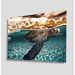 idealizbiz Sualtı Kaplumbağa Cam Tablo 4mm Dayanıklı Temperli Cam idl_833 23 x 35