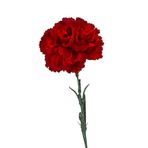 ideaPazar Chabaud Crimson Karanfil Çiçeği Tohumu (70 adet)
