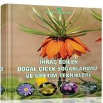 ideaPazar İhraç Edilen Doğal Çiçek Soğanlarımız Ve Üretim Teknikleri Kitabı