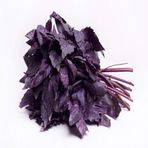 ideaPazar Red Basil Boza Kırmızı Tatlı Fesleğen Tohumu (100 tohum)