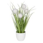 Ideen mit Herz | Dekoratif düğme çimi | küre çim | saksılı yapay bitki | 30 cm yüksekliğinde (beyaz çiçekler)