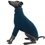 IECOii Whippet Kazak, Küçük Köpekler için Balıkçı Yaka Tazı Kazağı, İtalyan Tazı Sweatshirt Kazak Köpek Tulumu, Hafif ve Rahat Tazı Pijamaları Esnek Köpek Kazak Pijama, Small