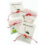 ieg™ Karışık Marteniçka İp Bileklik