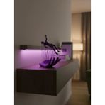 ieg™ Mor El İnsan Figürü Dekoratif Biblo Minimal Modern Salon Raf ve Masa Üstü Aksesuar