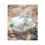 IGOR Kız Çocuk Transparant Sandalet CLASICA CRISTAL S10329