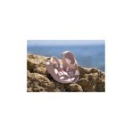 İgor S10313-197 Maui MC Nude Kız Çocuk Sandalet