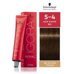 Igora Royal 5-4 Açık Kahve-Bej 4 Adet Saç Boyası