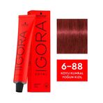 Igora Royal 6-88 Koyu Kumral Yoğun Kızıl x3 Saç Boyası