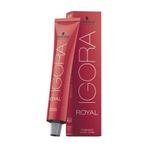 Igora Royal 8-0 Açık Kumral x2 Saç Boyası + 1 L Oksidan