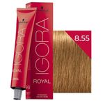 Igora Royal 8.55 Açık Kumral Yoğun Altın 5 Adet Saç Boyası + 1 lt Oksidan