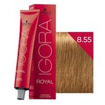 Igora Royal 8.55 Açık Kumral Yoğun Altın 8 Adet Saç Boyası + 1 lt Oksidan