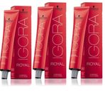 Igora Royal 9,5-4 Bej x3 Saç Boyası