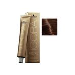 Igora Royal Absolutes 6-60 Koyu Kumral Çikolata Doğal 60 ml Saç Boyası