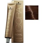 Igora Royal Absolutes 6-60 Koyu Kumral Çikolata Doğal Saç Boyası