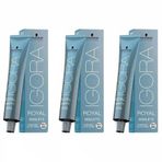 Igora Royal Highlifts 10-4 3x Ultra Sarı Bej Saç Boyası