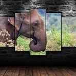 IHFMPFKJ Tuval resmi, 5 parça, yağlı boya, yaban hayatı fil baskısı, 5 parçalı modüler poster, XL/çerçevesiz, 150 x 100 cm, oturma odası, otel, restoran, ofis, ev dekorasyonu, poster, duvar