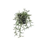 IKEA 0-10 FEJKA yapay bitki, yeşil, 9 cm, senecio radicans Saksı Yeşil 205.084.08