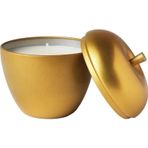 IKEA 1 Gold Rengi Metal Kutuda Vanilya Kokulu Mum Elma Kokulu Altın